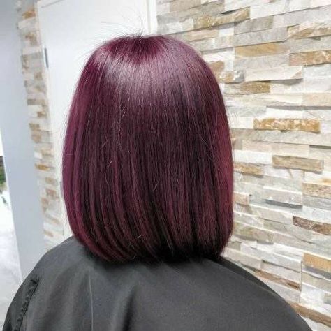 Plum Hair Color Ideas, Plum Hair Color, Bright Red Hair Color, Hair Color Plum, Red Blonde Hair, Plum Hair, Bright Red Hair, Balayage Hair Dark, Light Hair Color