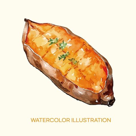 Watercolor illustration of sweet potato | Premium Vector #Freepik #vector #potato #potatoes #savory #water-color Sweet Potato Painting, Brulee Sweet Potatoes, Sweet Potato Brulee, Sweet Potato Drawing, Potato Illustration, Potato Drawing, Potato Print, Animal Based, Sweet Potatoes