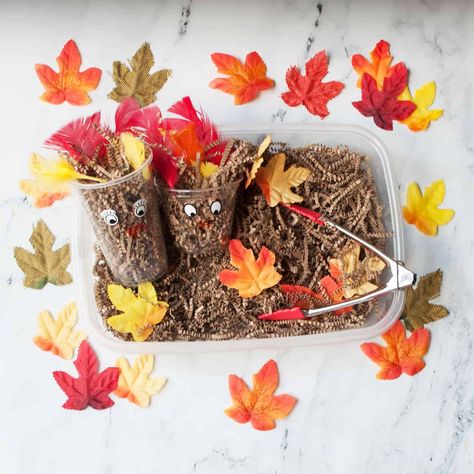 Autumn Sensory Bin Preschool, November Activities For Prek, November Sensory Table Ideas, Toddler Fall Sensory Bin, Daycare Thanksgiving Activities, Easy Fall Sensory Bin, November Themed Crafts, November Sensory Table, November Sensory Bin Toddlers