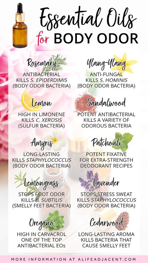 Get rid of body odor naturally – discover the BEST essential oils for body odor with this handy infographic. These antibacterial essential oils are proven natural remedies for smelly armpits and feet, and help prevent stinky sweat, stress sweat, and other sources of bad odor. Read the full guide at ALifeAdjacent.com to learn more + discover the benefits and uses. #essentialoils Natural Antibacterial For Skin, Diy Essential Oil Deodorant, Body Odor Hacks, Diy Body Oil With Essential Oils, Body Odor Remedies, Sweating Remedies, Odor Remedies, Smelly Armpits, Antibacterial Essential Oils