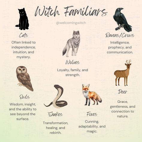 Happy International Cat Day! There’s something truly magical about the bond between humans and animals. Have you ever felt a strong connection to a particular animal? The crow, with its sleek black feathers and piercing gaze, has long been revered as a symbol of wisdom, prophecy, and communication. This intelligent and adaptable bird is a powerful spirit animal, offering guidance and insight into the mysteries of the world. This is the animal that I feel most connected to! Share your spir... Crow Symbolism, Crow Magic, Black Cat Familiar, Spirit Animals Book, Raven Spirit Animal, Wolf Symbolism, Crow Spirit Animal, Bird Symbolism, Powerful Animals