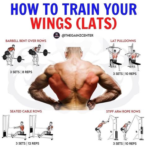 ⭐ FITNESS I NUTRITION I DIET ⭐ on Instagram: “🦅 Which Is Your Favourite WINGS Exercise? 🦅 workout made by @thegainzcenter⠀⁣⁣ ⁣⁣ 📥 Be sure to save this workout for later!⁣⁣ ⁣⁣…” Big Back Workout, Lat Workout, Back Workout Bodybuilding, Wings Workout, Back Workout Men, Gym Back Workout, Back Workout Routine, Good Back Workouts, Gym Workout Chart