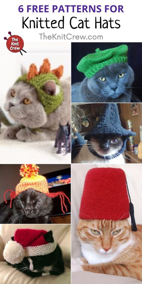 Knitted Cat Clothes, Free Knitting Patterns For Cats, Knitted Hat For Cat Pattern Free, Loom Knit Cat Hat, Cat Knit Hat, Knit Cat Hat Pattern Free, Cat Hat Pattern Free, Crochet Hat For Cat Pattern Free, Cat Hat Crochet Pattern Free