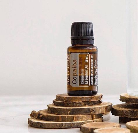 Copaiba Uses Doterra Copaiba, Copaiba Oil, Copaiba Essential Oil, Aromatherapy Recipes, Doterra Essential Oils Recipes, Essential Oil Diffuser Blends, Doterra Oils, Oil Diffuser Blends, Diy Essential Oils