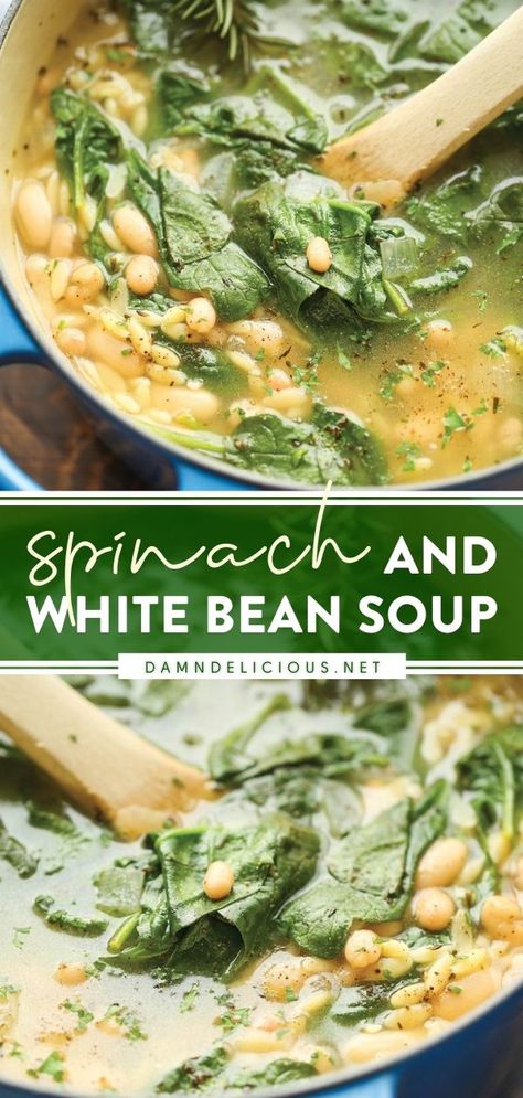 SPINACH AND WHITE BEAN SOUP Spinach And White Bean Soup Damn Delicious, Italian Sausage White Bean Spinach Soup, Orzo White Bean Soup, White Bean Orzo Soup, Spinach And Cannellini Bean Soup, Orzo Bean Soup, White Bean And Orzo Soup, Sausage White Bean Spinach Soup, White Beans And Spinach Recipe