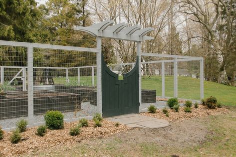 Stock Fencing, Raised Bed Vegetable Garden, Container Pond, Deer Fence, Fencing Ideas, Custom Gates, Backyard Vegetable Gardens, Planting Plan, Garden Entrance