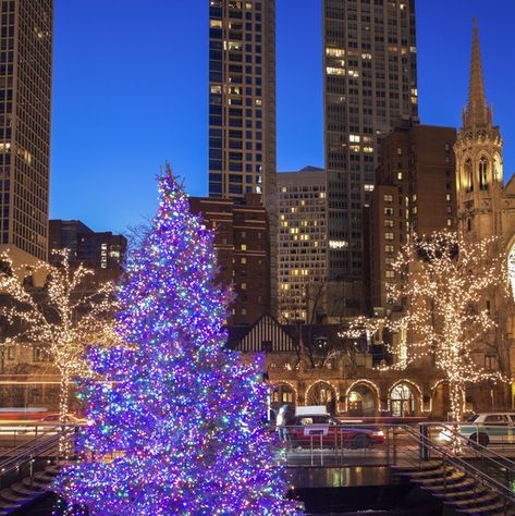 Chicago Christmas tree Chicago Christmas Tree, Christmas In Chicago, Wooden Christmas Trees Diy, Chicago Christmas, Pumpkin Decorating Contest, Christmas Tree Lots, Lincoln Park Zoo, Christmas Tree Storage, Nyc Christmas