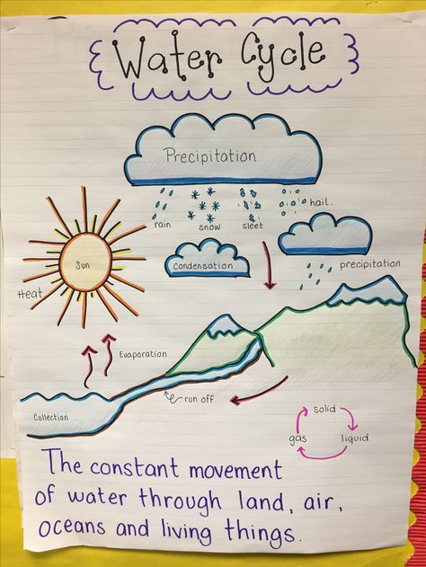 Water cycle anchor chart Water Cycle 2nd Grade, Water Cycle Anchor Chart 2nd Grade, Water Cycle Poster Ideas, Water Cycle 3rd Grade, The Water Cycle Anchor Chart, Water Cycle Poster Project For Kids, Water Cycle For Preschoolers, Water Cycle Project Kids, Water Cycle Project Poster