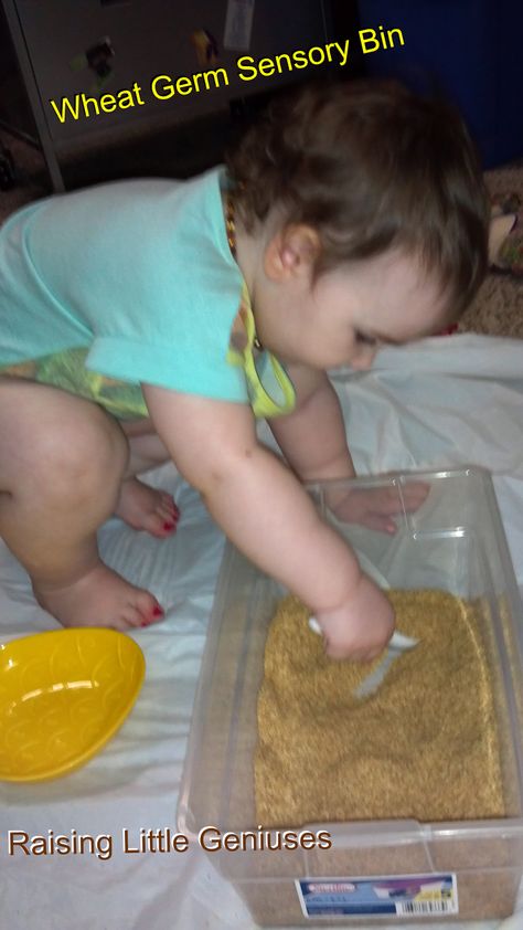 Wheat Germ Sensory Bin. Great for sensory play and the practical life skills of measuring, scooping and pouring. Toddlers love to transfer and they will love honing those skills with this simple sensory bin Sensory Activities For 1 Year, Sensory Bins For Babies, Sensory Play For Babies, Sensory Play For Toddlers, Edible Sensory Play, Sensory Play Toddlers, Baby Sensory Play, Baby Play Activities, Baby Activities