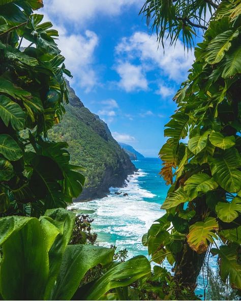 Stay close to nature it will never fail you. Kalalau Trail. Kauai, Hawaii Photo by @alxhalll #nakedhawaii Maui Hawaii Aesthetic, Hawaii Aesthetic, Apt Decor, Moving To Hawaii, Hawaii Pictures, Drømme Liv, Haikou, Hawaii Life, Kauai Hawaii