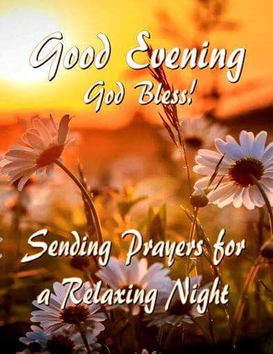 Good Evening! Time to relax and enjoy some T.V.!😚🙇‍♀️👼💻💕💕 Relaxing Evening Quotes, Friday Evening Blessings, Good Evening Quotes Inspirational, Good Evening Sunday, Good Evening Blessings, Blessed Evening, Good Evening Quotes, Piano Quotes, Evening Blessings