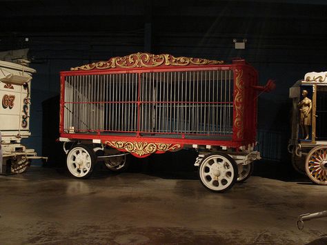 Red Circus Wagon Cage by valleyviolet, via Flickr- inspiration for our cribs Poptropica Aesthetic, Wagon Costume, Scary Circus, Circus Wagon, Images Terrifiantes, Circus Lion, Circus Aesthetic, Creepy Carnival, Halloween Circus