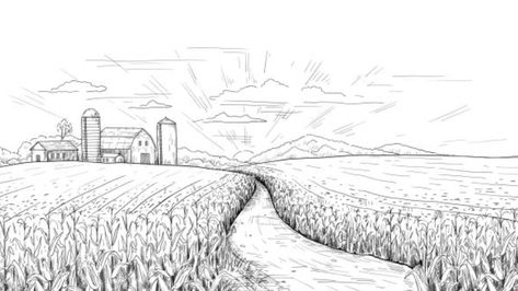 Field Drawing Easy, Wheat Field Drawing, Field Drawing, Wet Felting Projects, Rural House, Wheat Field, Drawing Easy, Easy Drawing, Vector Hand