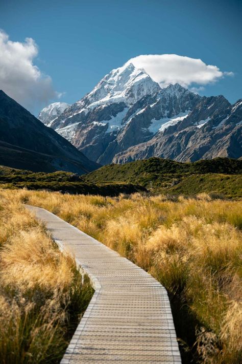 2 Week New Zealand North Island Itinerary (2024 Guide) 3 North Island Nz, Arthurs Pass New Zealand, New Zealand November, Waiheke Island New Zealand, Nee Zealand, New Zealand Aesthetic, New Zealand Nature, New Zealand Photography, New Zealand North Island