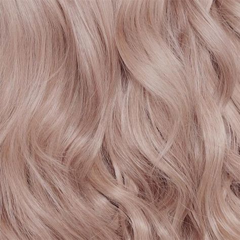 High Lift Hair Color, Ammonia Free Hair Color, Natural Dark Blonde, Hair Caramel, Beige Blonde Hair, Medium Ash Blonde, Natural Ash Blonde, Beige Blond, Pearl Blonde