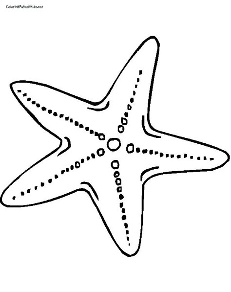 Free star fish coloring page. Paint with glue, then sprinkle with oatmeal for texture. Starfish Template, Starfish Drawing, Starfish Colors, Pola Tato, Star Coloring Pages, Fish Coloring Page, Glue Painting, Art Projects For Adults, Stella Marina