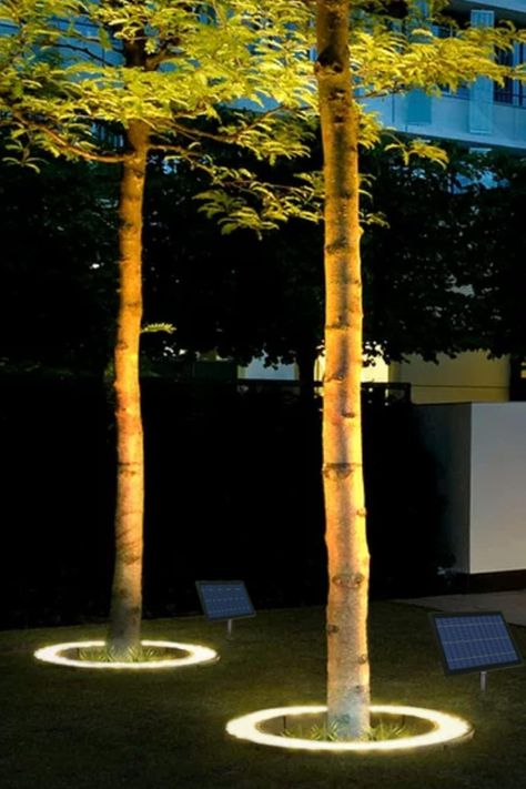 Illuminate trees, palm trees, flag poles, planters, and more around your home from the ground up in 360-degrees using this solar-powered LED tree uplight ring. Palm Tree Light, Palm Tree Lights Outdoor, Planters With Poles For Lights, Solar Uplighting, Tree Ring Ideas, Uplighting Trees, Illuminated Trees, Tree Uplighting, Palm Tree Lights