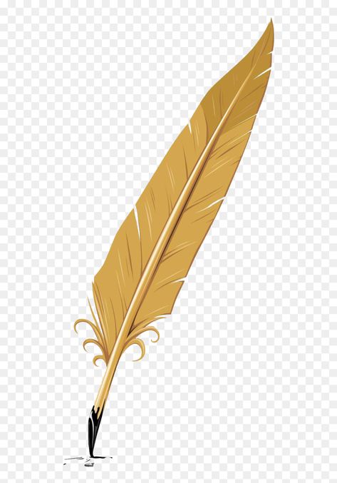 Writing Feather, Feather Png, Feather Clip Art, Studio Background Ideas, Feather Icon, Feather Quill Pen, Feather Illustration, Pen Icon, Feather Quill