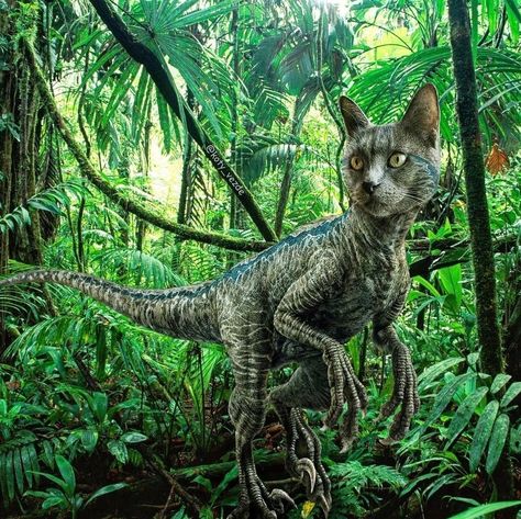 Cat Dinosaur, Family Guy Funny Moments, Fish Gallery, Cool Dinosaurs, Dinosaur Pictures, Silly Photos, Dinosaur Funny, Cat Artwork, Jurassic Park World