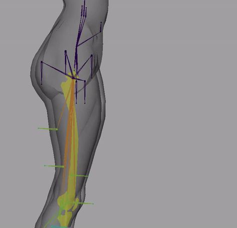 Here's How You Can Set Up an Anatomically Correct Human Body Rig Sculpting Reference Human Anatomy, Body Topology, 3d Rigging, 3d Anatomy, Character Rigging, Body Tutorial, Anatomy Sculpture, 3d Modeling Tutorial, Anatomy Models