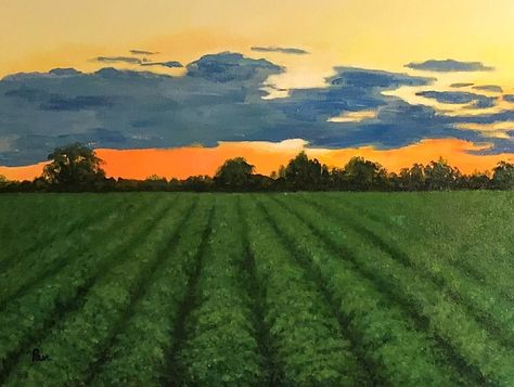 Sunset on the farm Country Sunset Painting, Farm Field Painting, Sunset Farm Painting, Midwest Painting, Agriculture Painting, Farmland Painting, Farm Landscape Painting, Farm Painting, Florida Landscape