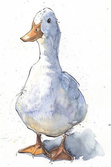 Watercolour Ducks, 심플한 그림, Drawing Eyes, Drawing Hair, Original Ink Drawing, Watercolour Inspiration, 수채화 그림, Lukisan Cat Air, A Duck