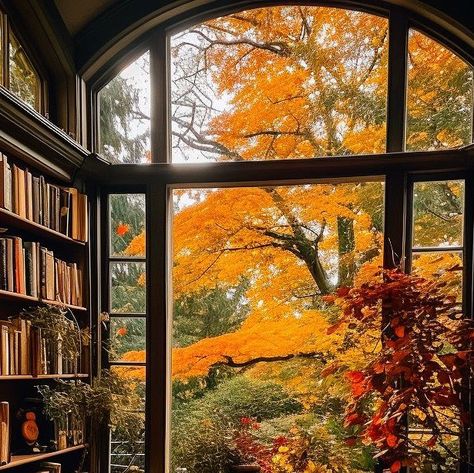 Dustin Benge on Instagram: "“You can't get a cup of tea big enough or a book long enough to suit me.” C.S Lewis . . #midjourney #instalibrary #library #homelibrary #midjourneyarchitecture #autumnvibes #autumnhome #autumhomedecor #aiarchitecture" Cozy Life Aesthetic, Dustin Benge, Everyday Aesthetic, Fall Books, Books Library, Fall Mood Board, Library Aesthetic, Autumn In New York, C S Lewis