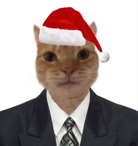 Santa Cat