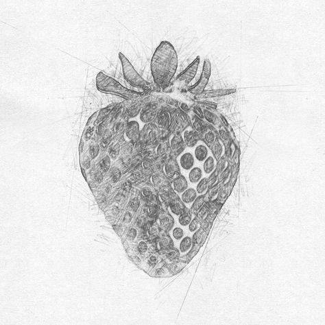 Strawberry Sketch Pencil, Strawberry Drawing Black And White, Strawberry Pencil Drawing, Strawberries Sketch, Strawberry Sketch, Sketch Fruit, James Coleman, Strawberry Painting, Value Drawing