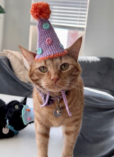 Crochet cat hat