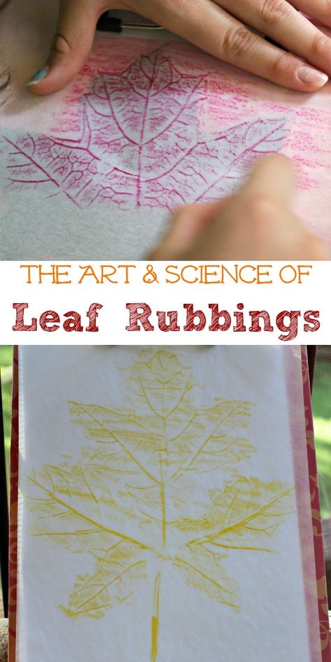 Try a few new ideas for making leaf prints and show kids some of the science as you create!  Great nature & STEM activity! November Activities For 4th Grade, Preschool Group Projects, Fall Changes Preschool, Easy Art Lessons Elementary, Steam Art Projects, Preschool Art Display, Art Activities For Kindergarten, Art For Kindergarten, Art Activities For Preschoolers