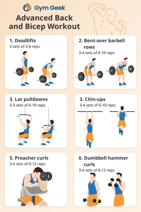 Back and Biceps Workout - Gym Geek Back And Bicep Workout For Men, Back And Bicep Workout Gym, Mens Bicep Workout, Bicep Workout Gym, Back And Biceps Workout, Pull Day Workout, Workouts Routines, Back And Bicep Workout, Upper Back Muscles