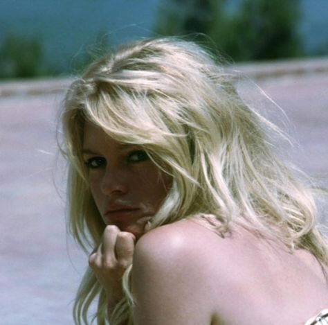 Brigitte Bardot in “Le Mepris”. directed by Jean-Luc Godard, 1963. Bridgette Bardot, Jean Shrimpton, Bridget Bardot, And God Created Woman, Jean Luc Godard, Animal Rights Activist, French Actress, Famous Women, Brigitte Bardot