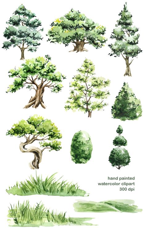 Forest Clipart, Trees Clipart, Basic Watercolor, Tree Watercolor Painting, Prismacolor Art, Mini Bonsai, Art Forest, Tree Clipart, Watercolor Stickers