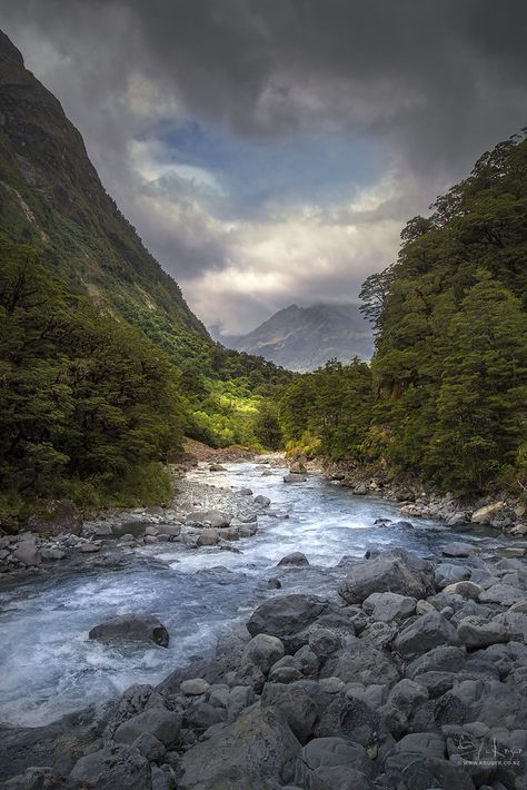 Fiordland National Park New Zealand. Fiordland National Park, New Zealand South Island, Best Cameras For Beginners, South Island, Mountain Lake, Natural Phenomena, Awe Inspiring, World Heritage, National Park