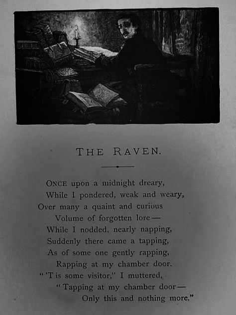 Edgar Allen Poe “The Raven” illustrated by W. L. Taylor Gothic Poetry, Romance Poetry, Poetry Aesthetic, Horror Fanatic, Roman Candle, The Road Not Taken, Allen Poe, Edgar Allen Poe, Beautiful Poetry