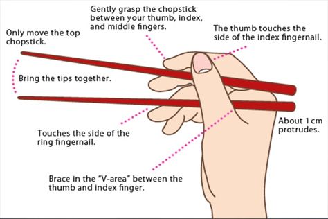 Sushi Etiquette, Dinning Etiquette, Sushi Guide, Using Chopsticks, Table Etiquette, Dining Etiquette, Japanese Chopsticks, Table Manners, Etiquette And Manners