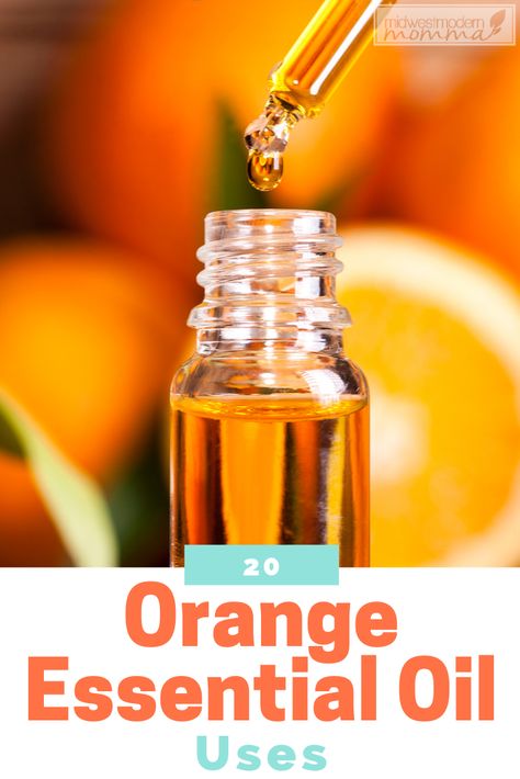 Sweet Orange Essential Oil is used for everything from a facial toner to pest repellent! Here are my favorite 20 Orange Essential Oils Uses! #essentialoils #orangeeo #eo #healthyliving Orange Oil Uses, Orange Essential Oil Benefits, Homemade Body Lotion, Pest Repellent, Homemade Deodorant, Essential Oils Health, Sweet Orange Essential Oil, Essential Oil Benefits, Grapefruit Essential Oil