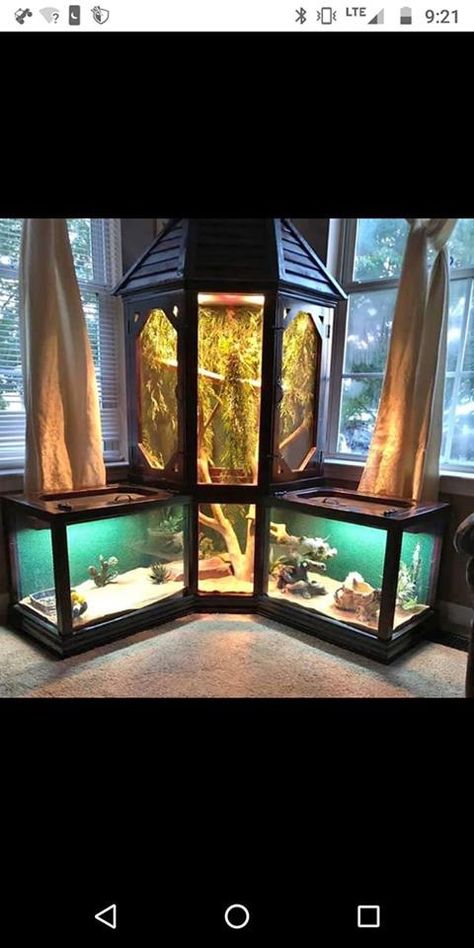 Different way to do a corner Bartagamen Terrarium, Snake Cages, Diy Reptile, Bearded Dragon Enclosure, Bearded Dragon Terrarium, Snake Terrarium, Snake Enclosure, Koti Diy, Cool Fish Tanks