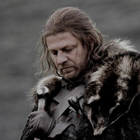 Game Of Thrones Images, Eddard Stark, Epic Hair, Tv Dads, Ned Stark, Game Of Thrones Books, Game Of Thrones Tv, Sean Bean, Avatar Cartoon