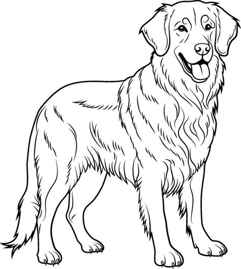 Golden Retriever Outline, White Drawing, Black And White Drawing, Cityscape Photos, Logo Banners, Nature Backgrounds, Heart With Arrow, Black & White, Background Banner