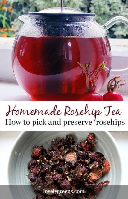 Rosehip Recipes, Flower Sweets, Tea Blends Recipes, Food Dehydration, Herbal Tea Garden, Rosehip Tea, Plat Vegan, Wild Food Foraging, Foraging Recipes