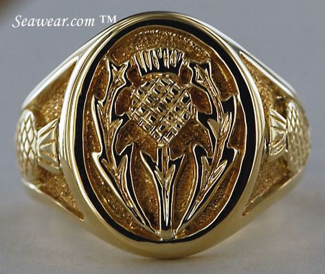 signet Thistle ring Scottish Warrior, Thistle Ring, Scottish Culture, Sea Life Jewelry, Scottish Jewellery, Scottish Thistle, Irish Jewelry, Nautical Jewelry, Irish Celtic