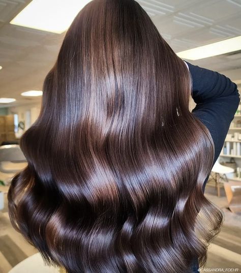 Hair Salon Instagram, Brown Hair Trends, Liquid Hair, Honey Brown Hair, Hair Gloss, Wella Hair, Glossy Hair, Brunette Color, Espresso Shot