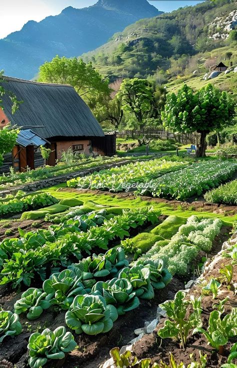 Natural life 💙💕💙 Horticulturist Aesthetic, Farming Aesthetic, Countryside Lifestyle, Japanese Countryside, Farm Village, Farming System, Beach Place, Farm Lifestyle, Vegetable Gardens