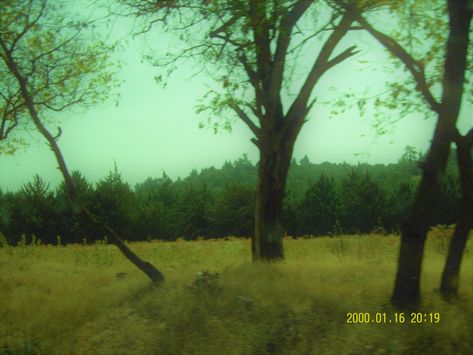 Green In Film, Film Nature Aesthetic, 2000s Nature Aesthetic, Digital Camera Aesthetic Nature, Moody Green Photography, 2012 Grunge Aesthetic, Retro Nature Aesthetic, Vintage Film Photography Nature, Indie Forest Aesthetic