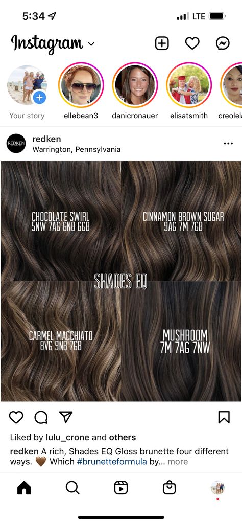 Brunette Highlights Shades Eq, Brown Balayage Redken Shades Eq, Toner Colors For Dark Hair, Brunette Balayage Redken Formula, Ashy Brown Hair Redken Formula, Formula For Mushroom Brown Hair Color, Ash Brown Hair Color Formula Redken, Ash Brown Balayage Redken Formula, Neutral Brown Shades Eq