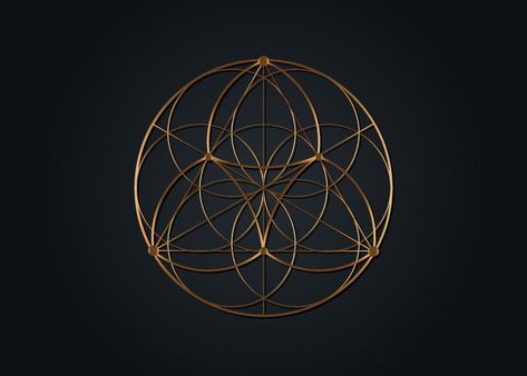 Seed Flower of life lotus icon, yantra mandala sacred geometry, golden symbol of harmony and balance. Mystical talisman, gold lines vector isolated on black background Lotus Icon, Yantra Mandala, Mandala Sacred Geometry, Sacred Geometry Mandala, Life Logo, Seed Of Life, Sacred Symbols, Life Symbol, Gold Line