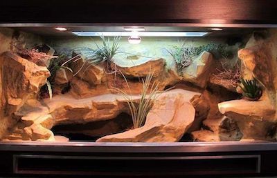 Need some creative bearded dragon tank ideas? Click to see awesome bearded dragon enclosure ideas and tank decoration inspirations. Leopard Gecko Cage, Bearded Dragon Tank Setup, Bartagamen Terrarium, Diy Bearded Dragon Enclosure, Gecko Cage, Lizard Cage, Reptile Mortal Kombat, Bearded Dragon Vivarium, Bearded Dragon Terrarium Ideas