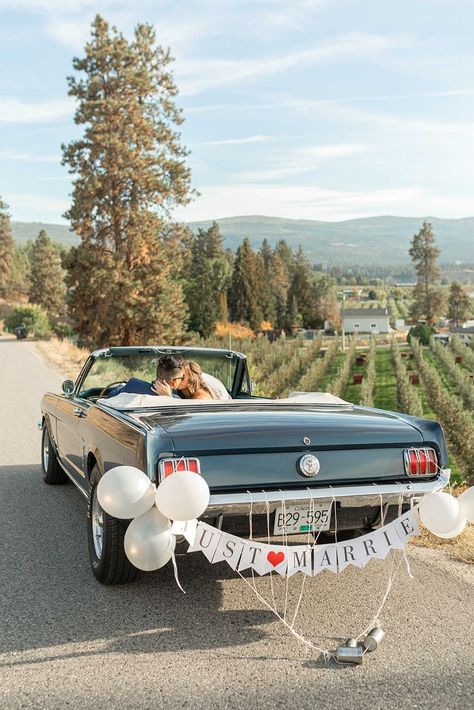 Just Married Car, Kelowna Bc, Something Blue, Just Married, Car Decor, The Beauty, Wedding Photographer, Wedding Photographers, Photographer